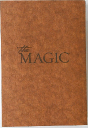The MAGIC