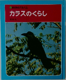 カラスのくらし