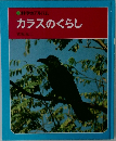 カラスのくらし