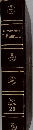 ENCYCLOPADIA　Britannica　Vase  Zygote  23