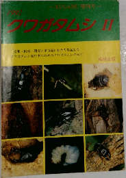クワガタムシⅡ