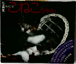 私は0才 こねこちゃん