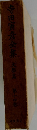 寺田寅彦全集 14