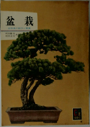盆栽