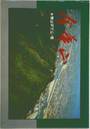 金華山