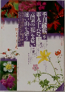 季刊銀花　1993年冬号　第九十六号