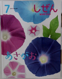 しぜん　7　あさがお