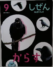 しぜん　９　からす