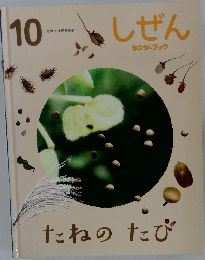 しぜん　１０　たねのたび