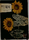 四季いけばなの花材