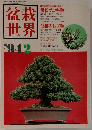 盆栽 世界　1994年2月号