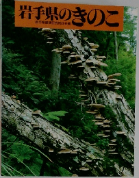 岩手県のきのこ