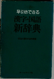 早引きできる  漢字・国語新辞典