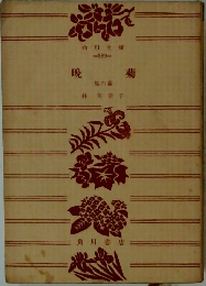 晚菊　6