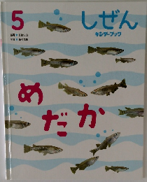 しぜん5　めだか　5