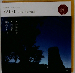 YAESE -feel the wind-