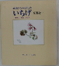 高原からの花だより　いちげ