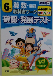 確認・発展テスト　6年