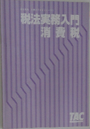 税法実務入門  消費税