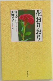 花おりおり