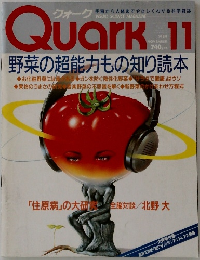 Quark　1989年11月号