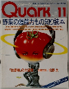Quark　1989年11月号