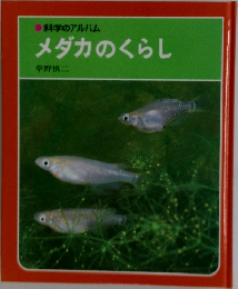 メダカのくらし