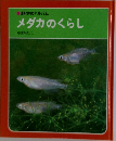 メダカのくらし