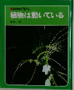 植物は動いている