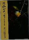 続 山がたり