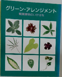 グリーン・アレンジメント  観葉植物のいけばな