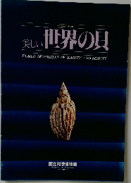 美しい世界の貝
