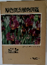 原色園芸植物図鑑　Vol. III  宿根草編 2