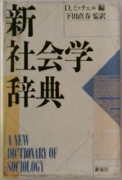 新社会学辞典
