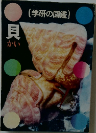 [学研の図鑑]　貝