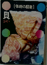 [学研の図鑑]　貝