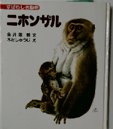 ニホンザル