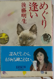 めぐり逢い