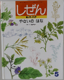しぜん　5　やさいのはな