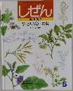しぜん　5　やさいのはな