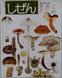 しぜん 1990年10月号 きのこ キンダーブック フレーベル館 