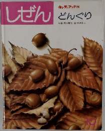 しぜん　どんぐり