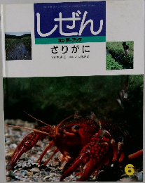 しぜん　6　ざりがに