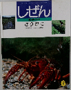 しぜん　6　ざりがに