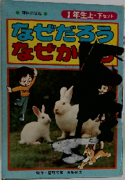 なぜだろう  なぜか