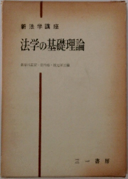 新法学講座　法学の基礎理論　