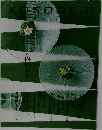KOSODE vol.37