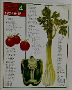 COOK 料理全集 4　野菜の料理