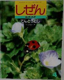 しぜん　4　てんとうむし　