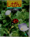 しぜん　4　てんとうむし　